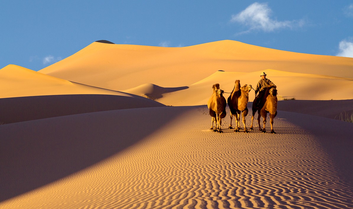 GOBI DESERT