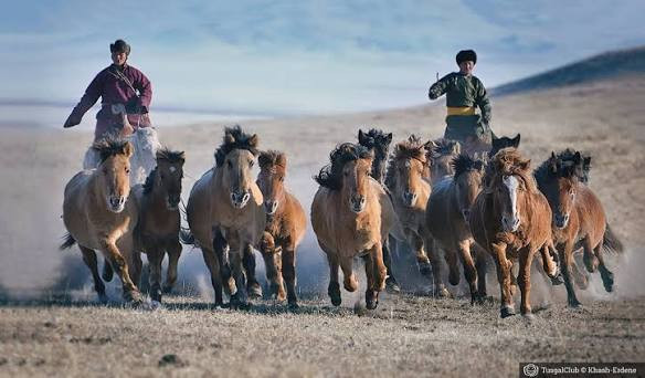 The “Taliin Tumen Aduu“ Winter Horse Festival